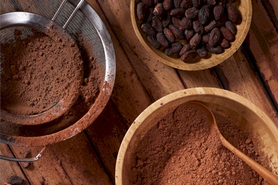 Providing The Best Cocoa Powder