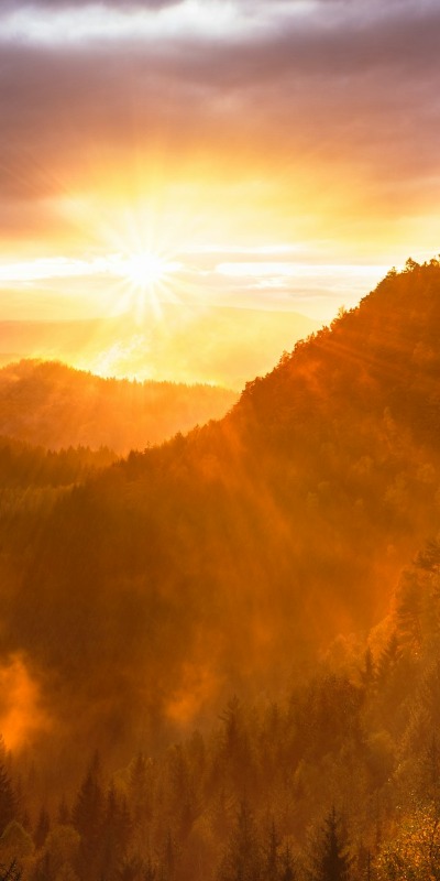 Every day is a new day, and you'll never be able to find happiness if you don't move on.
